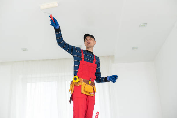 Best Drywall Removal and Disposal  in Temecula, CA